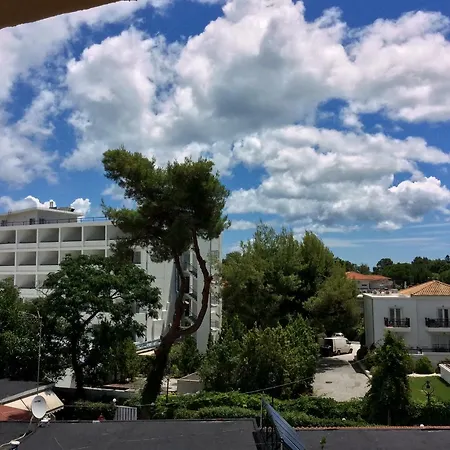 Pine *